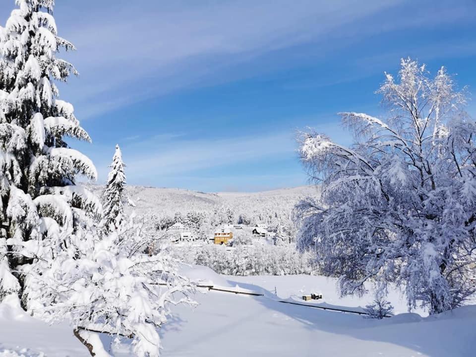 Studio Soleil Au Hohwald Екстериор снимка